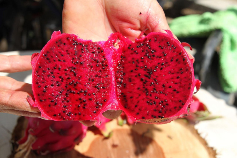 Mersin'de yetişiyor bir dönümden 40 bin TL kazanç! ABD'li askerler bu tadın peşinde - Resim: 3