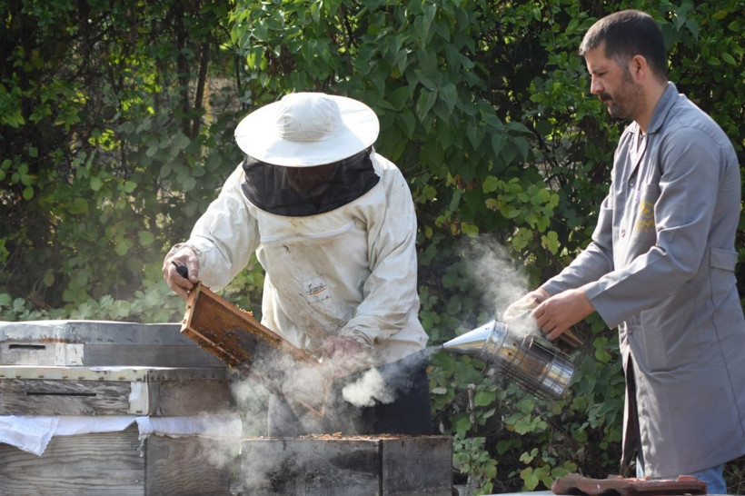 Bursa'da eskiden çöpe atılıyordu! Şimdi ABD Almanya İsrail sıraya girdi - Resim: 1