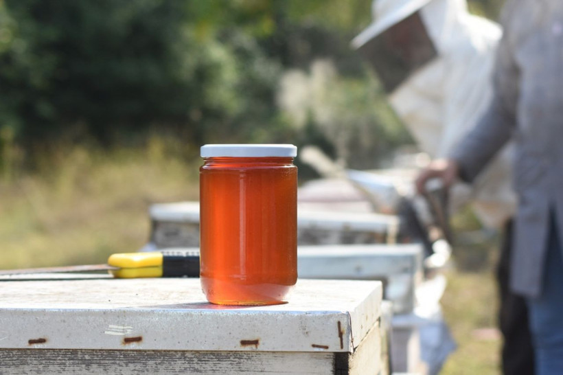 Bursa'da eskiden çöpe atılıyordu! Şimdi ABD Almanya İsrail sıraya girdi - Resim: 2