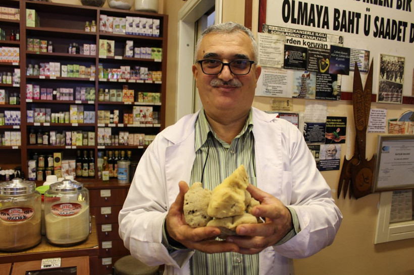 Bursa'da kilosu 4 bin TL'ye satılıyor! 10 yıl kullanım ömrü var: Faydaları saymakla bitmiyor. - Resim: 1