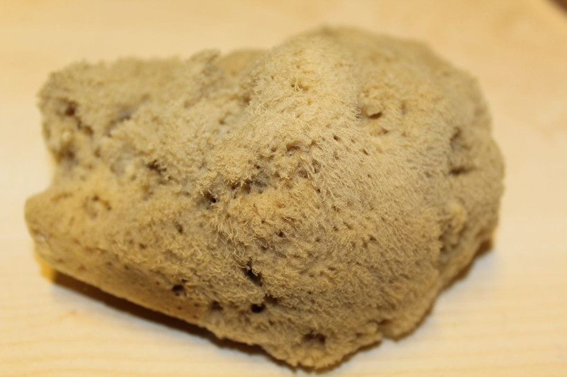 Bursa'da kilosu 4 bin TL'ye satılıyor! 10 yıl kullanım ömrü var: Faydaları saymakla bitmiyor. - Resim: 4