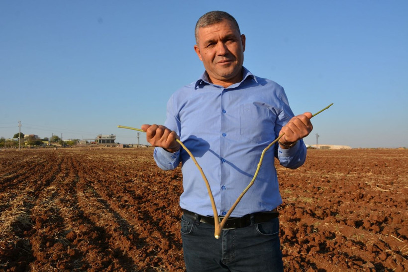 Şanlıurfa'da tahmin edip kazıyor yüzde 90'ı doğru! Herkes onu çağırıyor: Taleplere yetişemiyor - Resim: 4