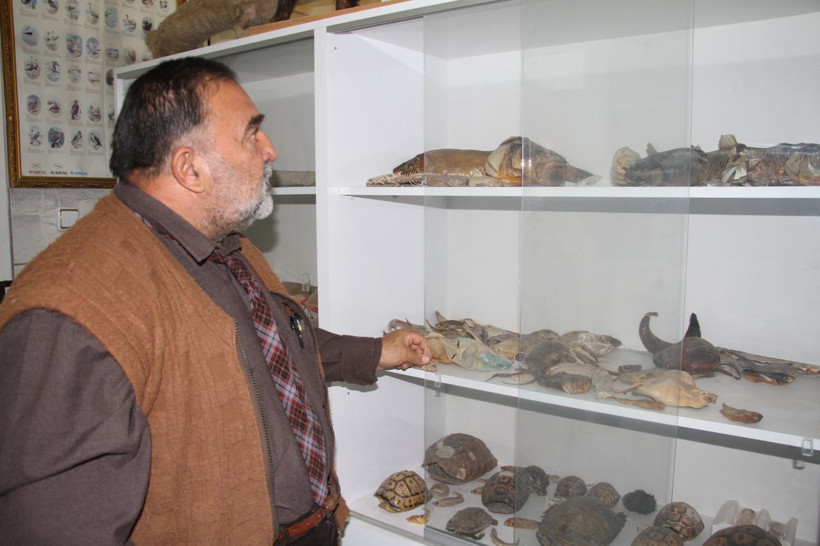 Bu balık altın yumurtluyor! Tunceli'de görüldü yumurtasının kilosu 20 milyon lira - Resim: 3