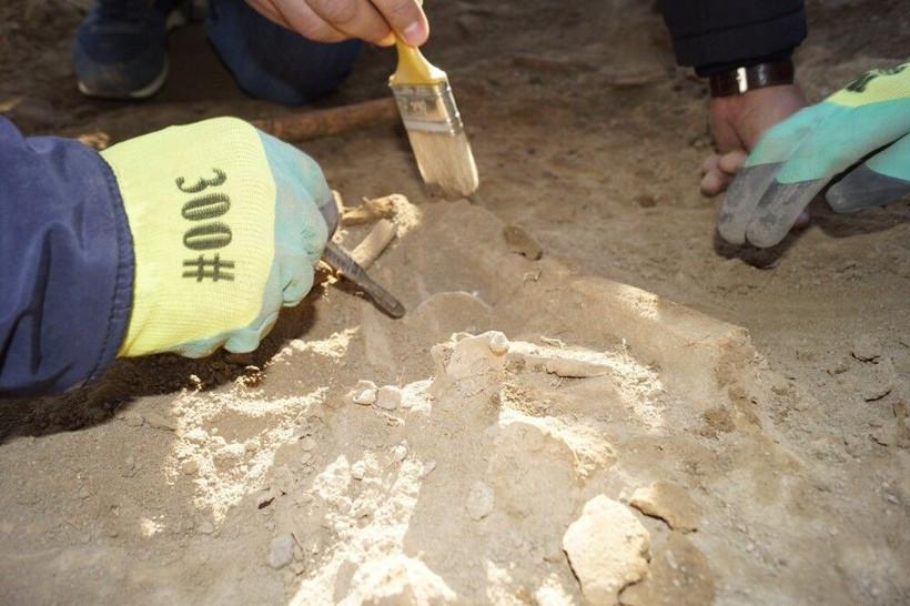 Van'da ilk kez bulundu! Heyecanlandıran keşif: Kapatmayı düşünüyoruz - Resim: 4