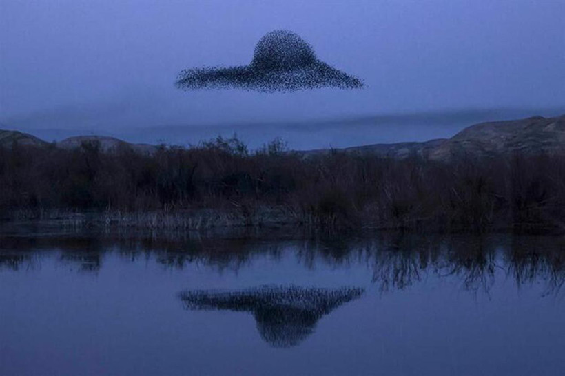 AFP 2021 yılının en iyi fotoğraflarını seçti! Türkiye'den 3 fotoğraf var - Resim: 3