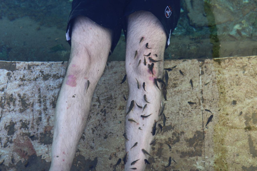 Dünyada eşi benzeri yok! Cumhurbaşkanı Erdoğan imzayı attı: Resmi gazetede yayınlandı - Resim: 4