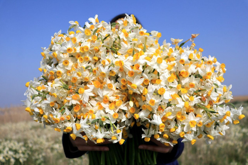Kesin korunacak hassas alan ilan edildi! Adana'da görenler hayran kaldı: Milyonlarca var - Resim: 4