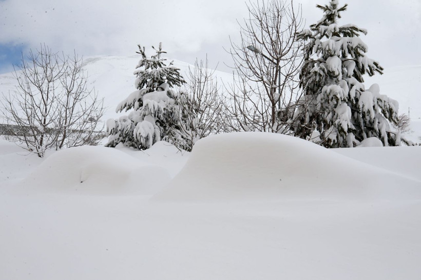 Fotoğrafa iyi bakın! İnanılmaz hepsi kara gömüldü - Resim: 1