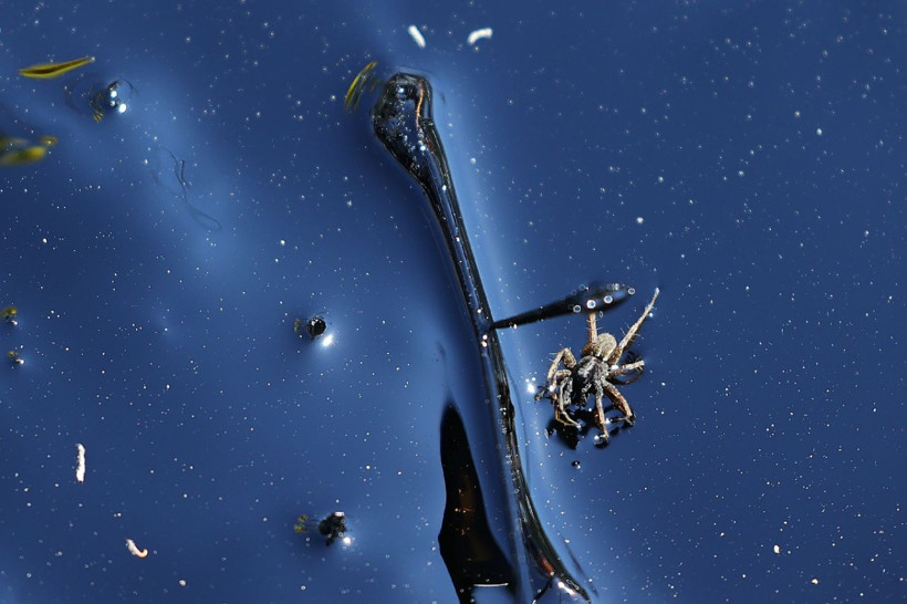 Edirne sızan asfaltla çevre felaketi yaşadı meğer tesisin raporu bile yokmuş - Resim: 1