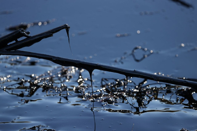 Edirne sızan asfaltla çevre felaketi yaşadı meğer tesisin raporu bile yokmuş - Resim: 2