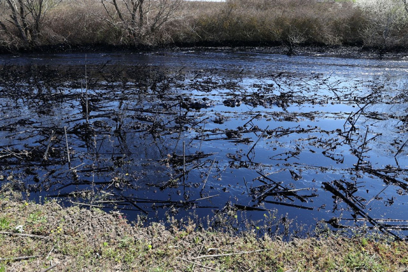 Edirne sızan asfaltla çevre felaketi yaşadı meğer tesisin raporu bile yokmuş - Resim: 3