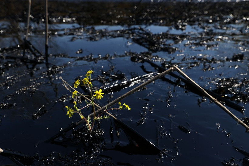 Edirne sızan asfaltla çevre felaketi yaşadı meğer tesisin raporu bile yokmuş - Resim: 4
