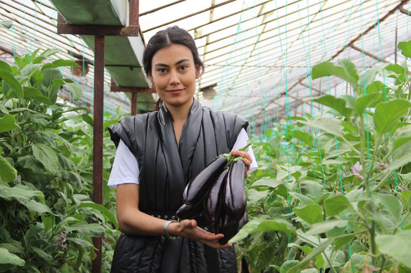 3 gün önce 25 liraydı bugün 13 lira oldu! Domates patlıcak biber fiyatlarında indirim şahane - Resim: 1