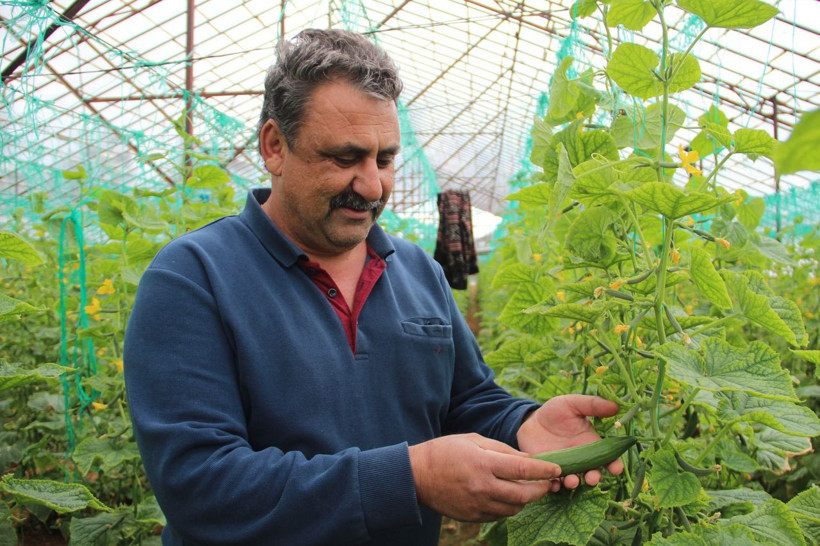 3 gün önce 25 liraydı bugün 13 lira oldu! Domates patlıcak biber fiyatlarında indirim şahane - Resim: 3