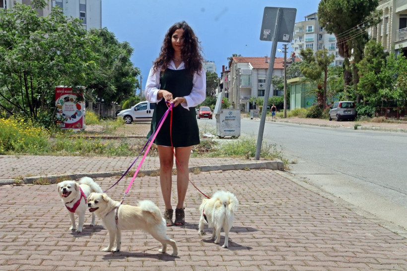 Su almak için girdiği markette köpeğine tekme atıldı. Genç kadın neye uğradığını şaşırdı - Resim: 3