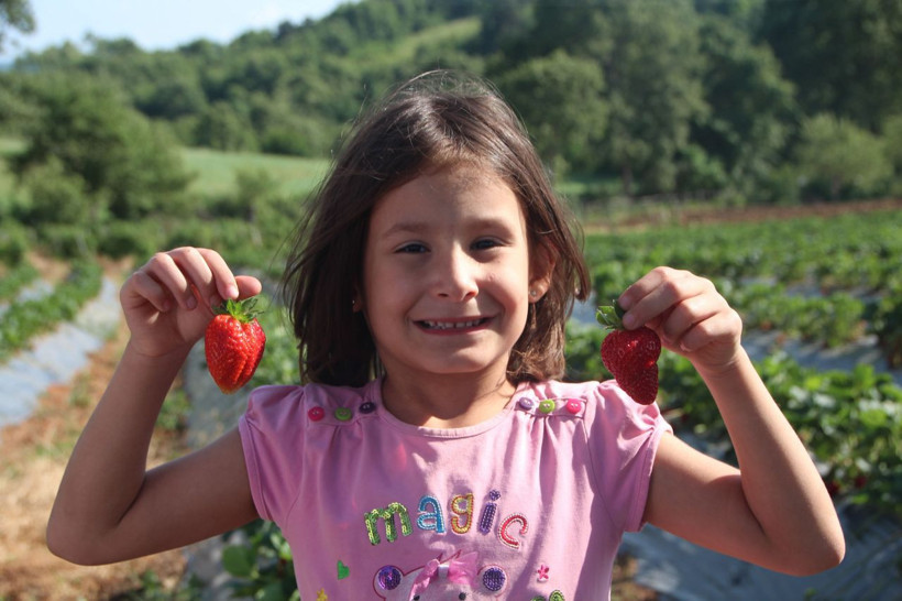 Hobi olarak başladı şimdi paraya para demiyor - Resim: 3