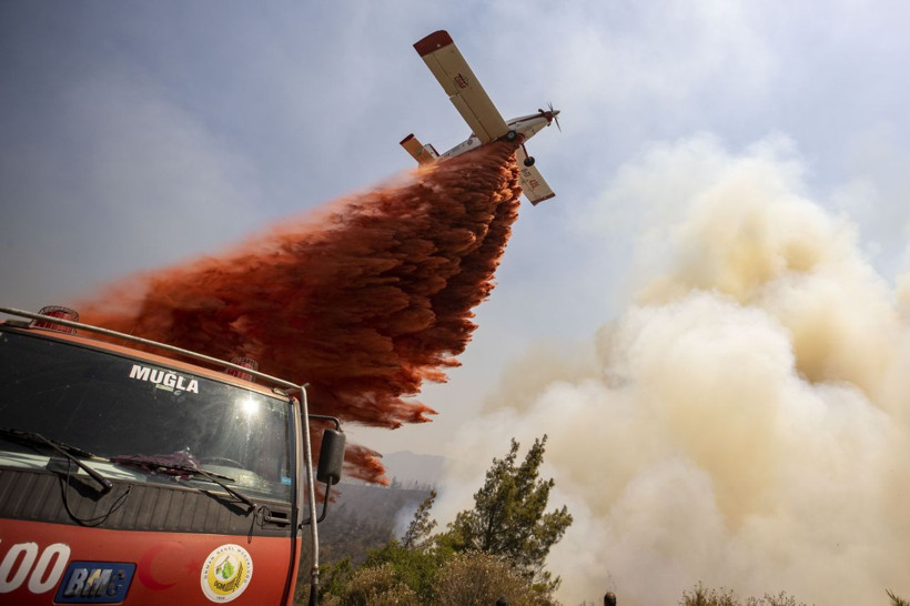Marmaris orman yangınında son durum ne? Orman yangını devam ediyor mu? İşte yangın bölgesindeki son gelişmeler - Resim: 3