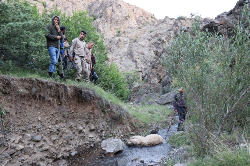 Erzurumda beyaz ayı çobana saldırdı! Ayı ile çobanın kavgası ölümle bitti - Resim: 4