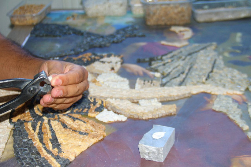 Titanic filmi etkiledi, evin odasında yapıyor! Şaha kalkmış at görenleri hayran bıraktı - Resim: 1