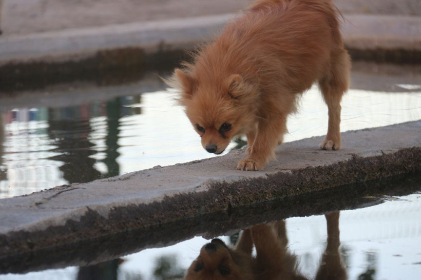 Yurtdışında görüp Lice'de çiftlik kurdu zengin oldu! Eşi inanmadı şimdi milyonları konuşuyor - Resim: 3