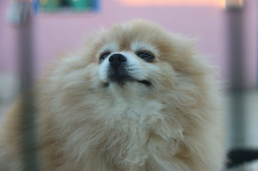 Yurtdışında görüp Lice'de çiftlik kurdu zengin oldu! Eşi inanmadı şimdi milyonları konuşuyor - Resim: 4