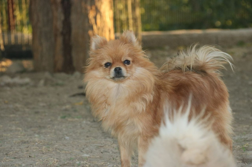 Yurtdışında görüp Lice'de çiftlik kurdu zengin oldu! Eşi inanmadı şimdi milyonları konuşuyor - Resim: 2