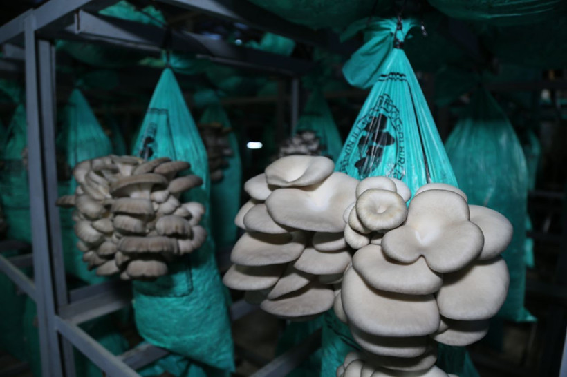 300 metrelik tünelin girişine kepenk çekildi içerisi görenleri şaşkına çeviriyor - Resim: 4