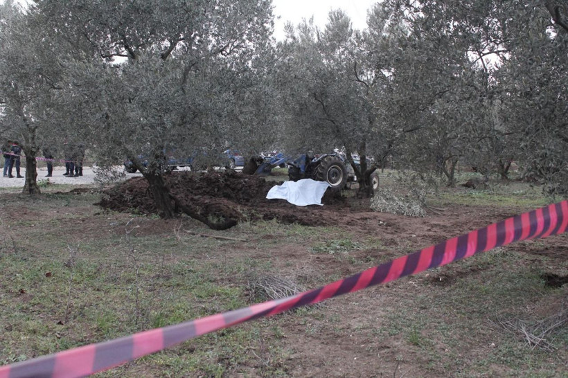 Sipariş ettiği hayvan gübresinden çıktı! Kan donduran olay - Resim: 3