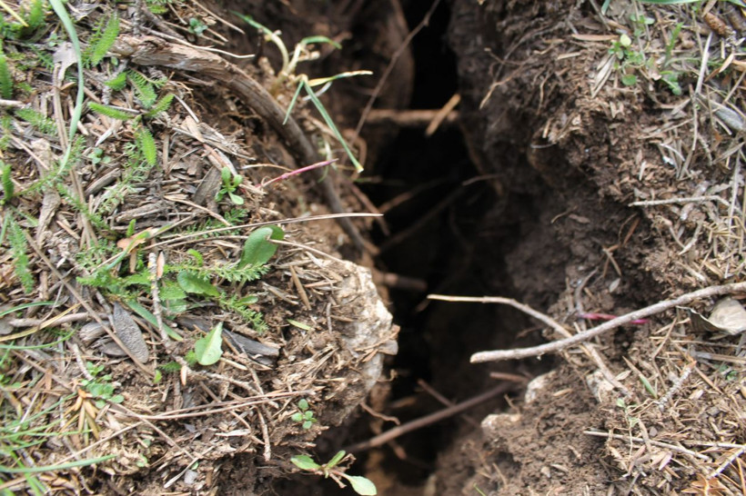 Adana'da deprem sonrası oldu! Karların erimesiyle ortaya çıktı - Resim: 4