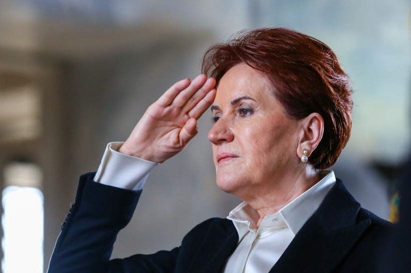Meral Akşener Anıtkabir'e çıktı asker selamı durdu! Kadınlarla tarih yazacağız - Resim: 3