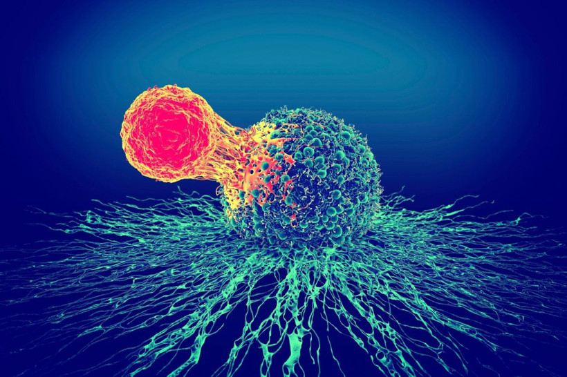 “Yapay zeka Nostradamus”tan 7 büyük kehanet! Tarih tarih olacakları açıkladı - Resim: 2