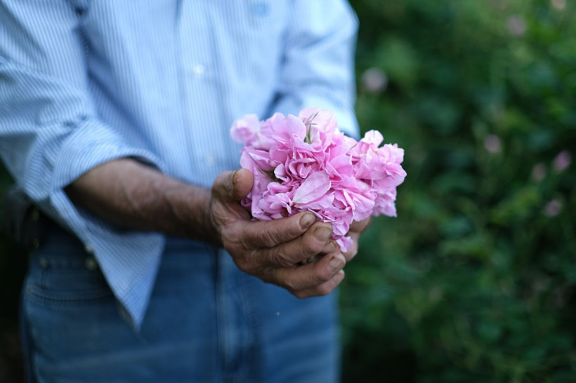 Binbir zahmetle toplanıp suyu ve yağı çıkarılıyor: Litresi 10 bin euro! (Yaklaşık 258 bin 449 TL) - Resim: 4