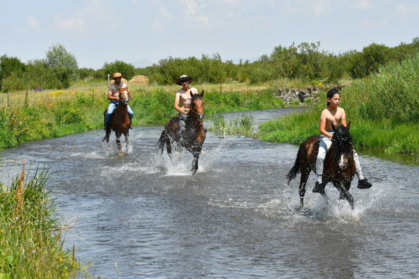 Kars'ta sıcaktan bunalan atlar derede serinletiliyor! - Resim: 2