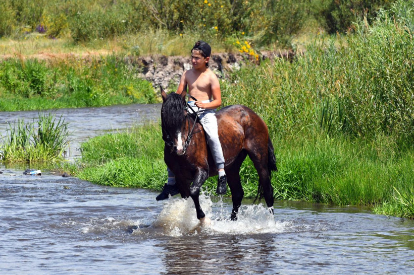 Kars'ta sıcaktan bunalan atlar derede serinletiliyor! - Resim: 3