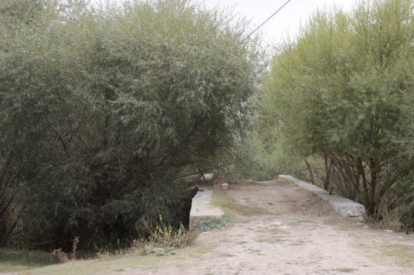 Kanuni Sultan Süleyman'ın ordusuyla geçtiği tarihi köprü yok oluyor! - Resim: 3