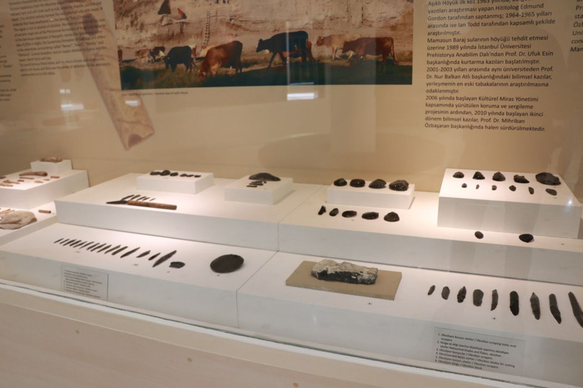 Dünyanın ilk beyin ameliyatına ait kafatası görenleri şaşırtıyor - Resim: 3