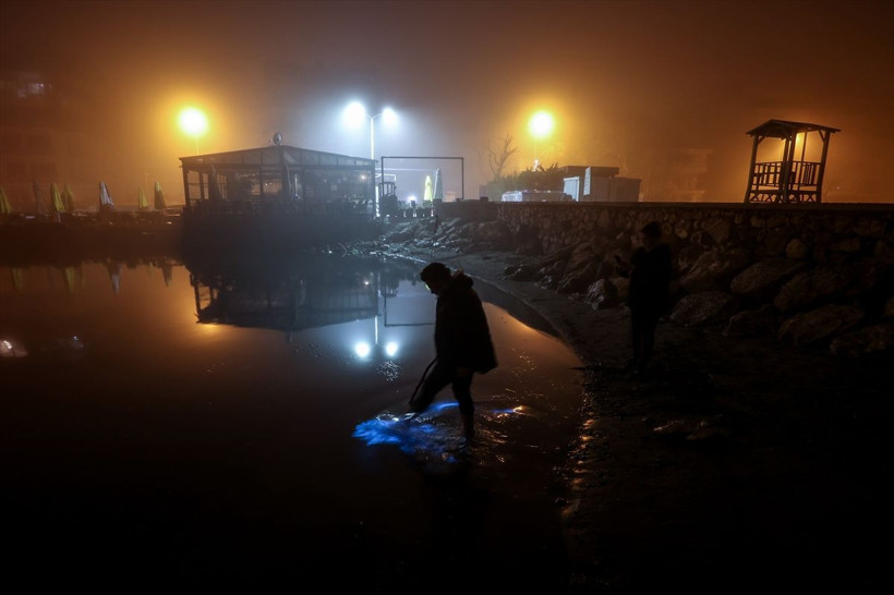 Çok nadir görülüyor! Duyan sahile koştu, Bursa'da yaşandı - Resim: 4