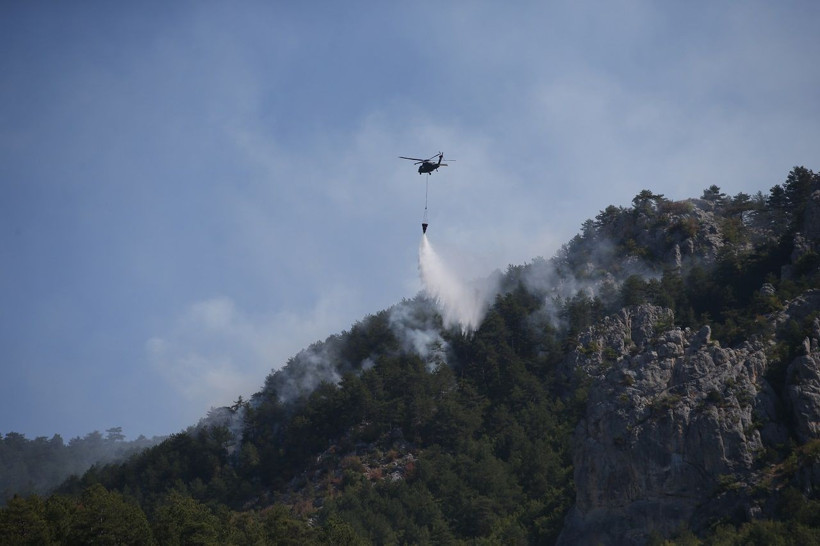 Sinop Valisi Mustafa Özarslan orman yangını hakkında bilgi verdi... - Resim: 3