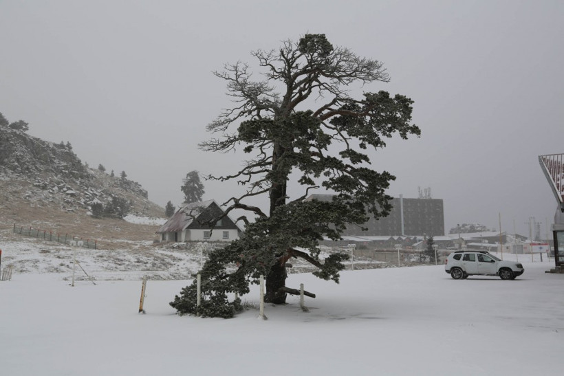 Bu fotoğraflar bugün çekildi! Kar bakın nereyi vurdu - Resim: 4
