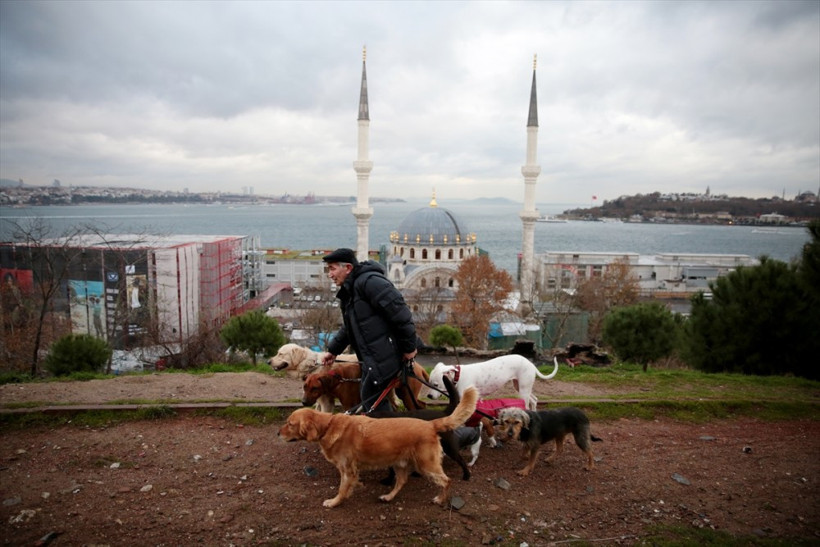 20 yıllık çoban olan Bayram Kozat mesleğini özleyince... - Resim: 2