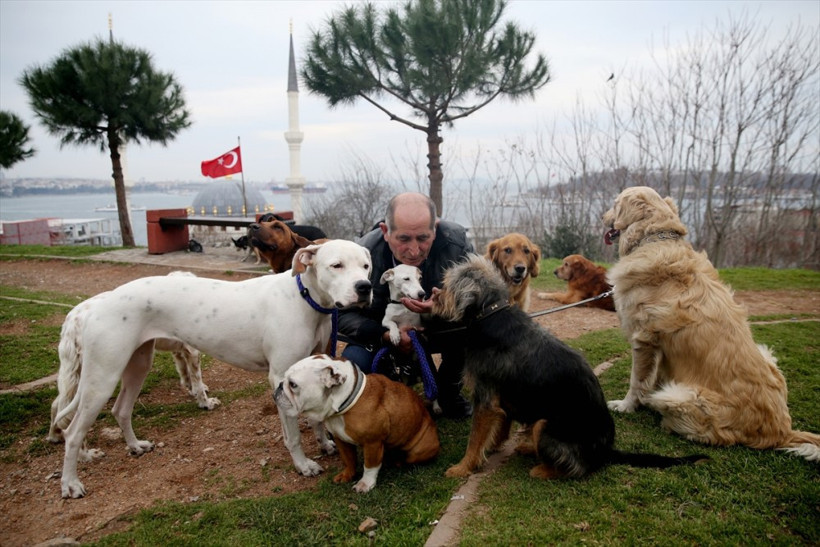 20 yıllık çoban olan Bayram Kozat mesleğini özleyince... - Resim: 3