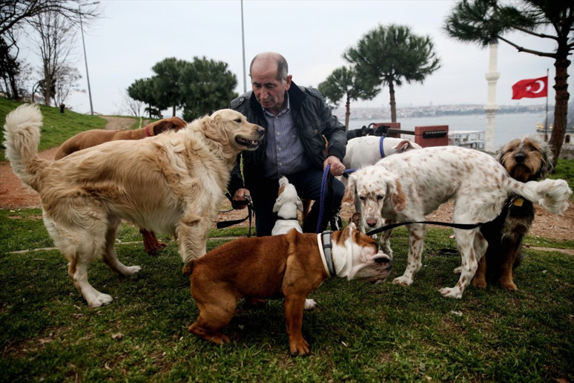 20 yıllık çoban olan Bayram Kozat mesleğini özleyince... - Resim: 4