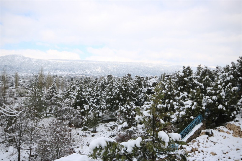 Leylekler Vadisi'nde ilginç manzara harekete geçirdi! - Resim: 1