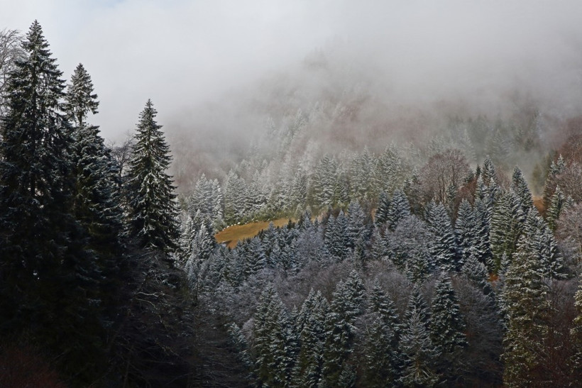 Kış ve İlkbahar'ın buluştuğu eşsiz manzaralar! - Resim: 2