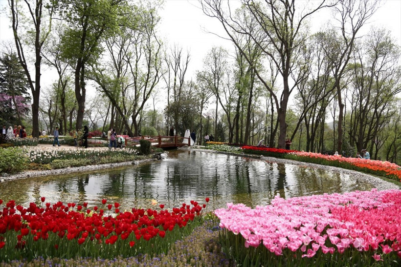 İstanbul'da ilkbahar bir başka! Her yer rengarenk - Resim: 1