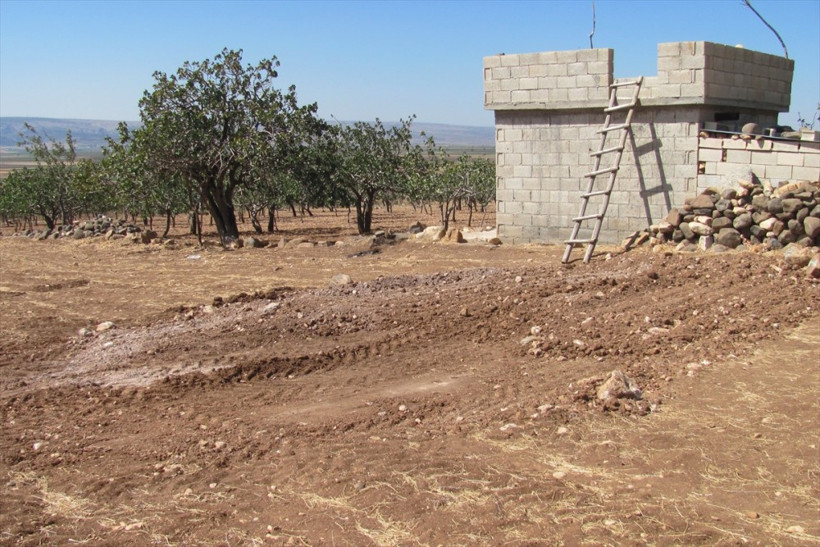 Böyle vahşet görülmedi altını ıslatıyor diye... - Resim: 1