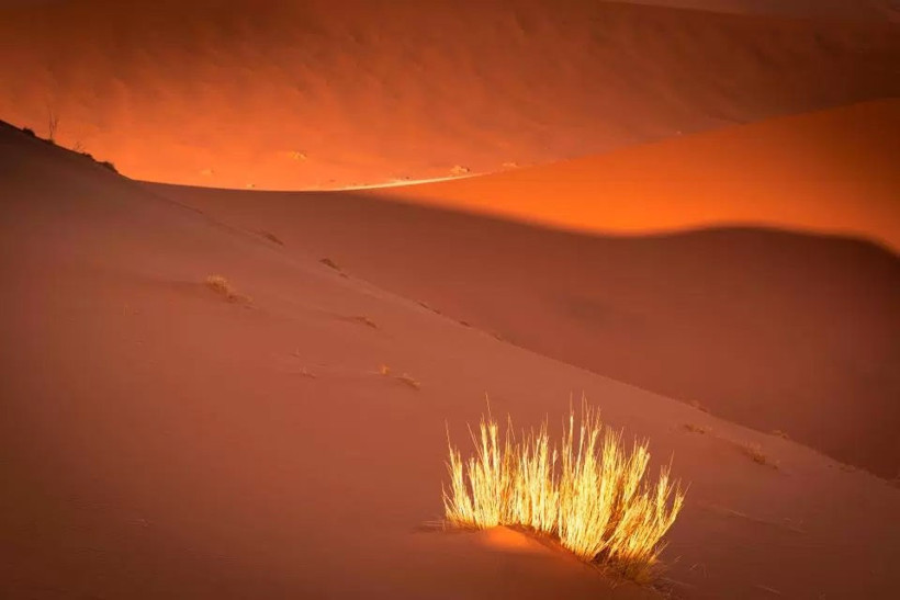 National Geographic en iyileri seçti! Türkiye var mı? - Resim: 2