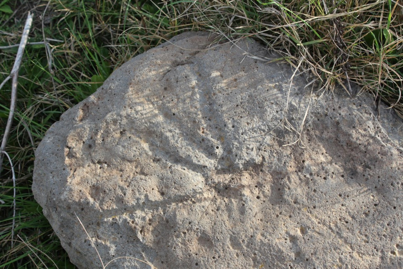 Kayı Boyu damgalı mezar taşları bulundu - Resim: 2