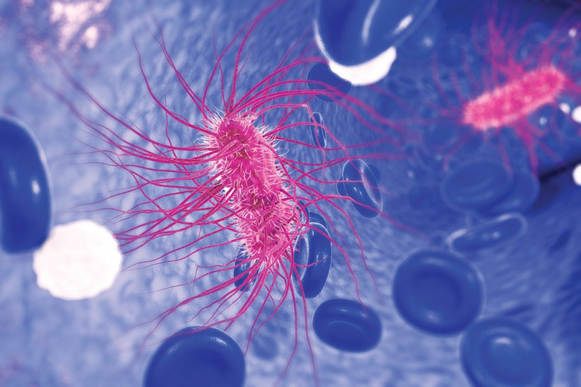 Gizemli hastalık 11 öğrencinin ölümüne neden oldu - Resim: 3