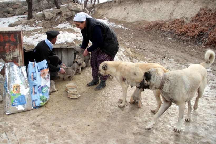Elazığlı köylü kadını öyle güzel bir 'iyilik' yaptı ki...  - Resim: 1